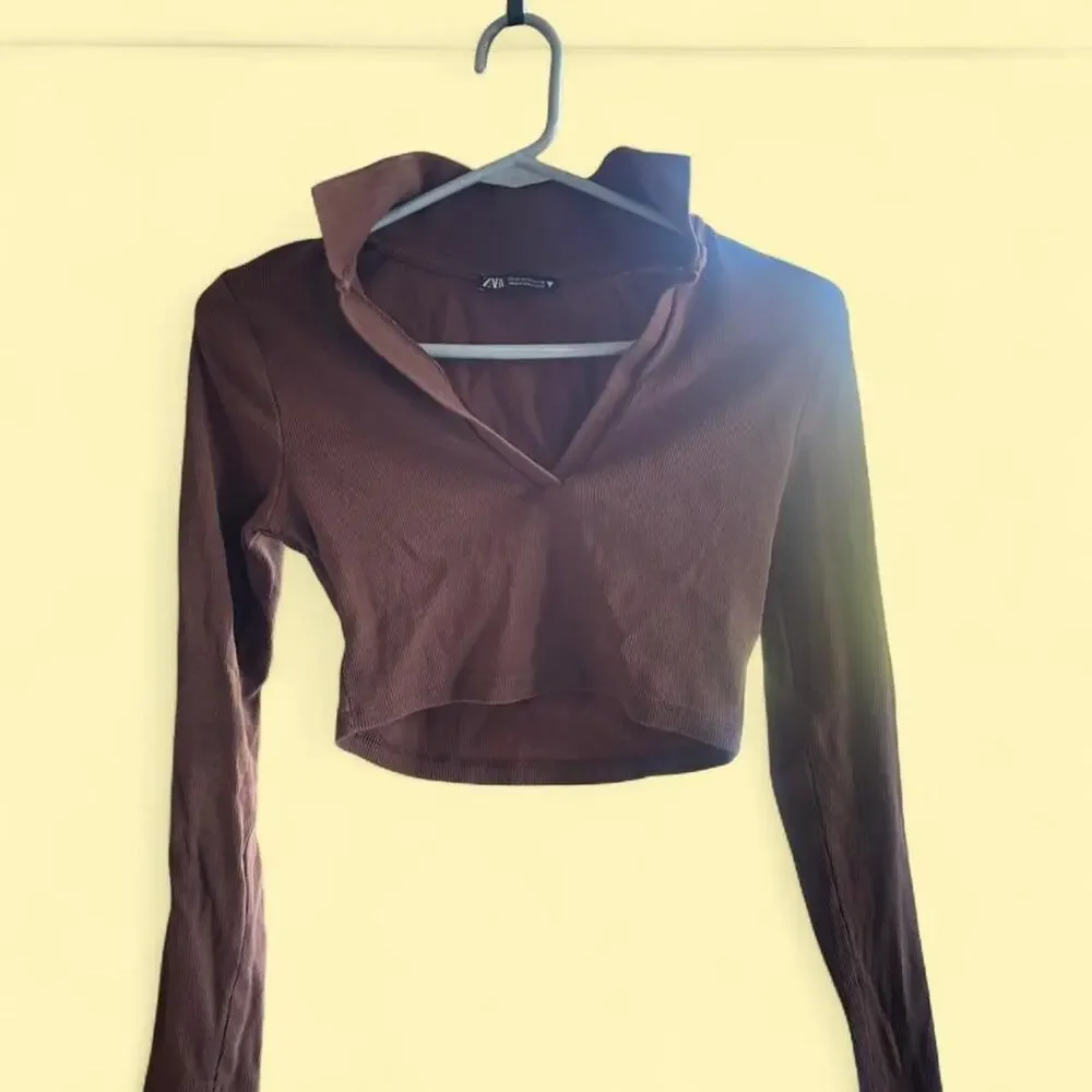 Zara brown long sleeve crop top